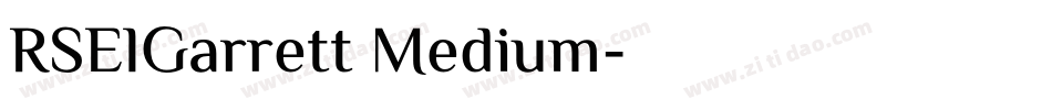 RSElGarrett Medium字体转换